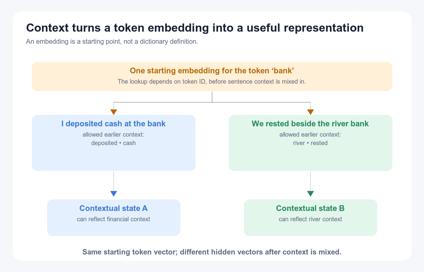 The token bank begins with one learned embedding, then attention mixes financial or river context to produce two different contextual hidden states.