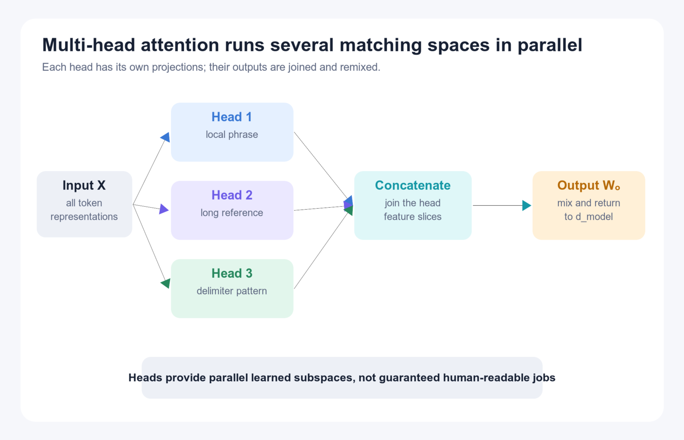 Multi-head attention: the shared input feeds several learned heads, whose outputs are concatenated and transformed by an output projection.