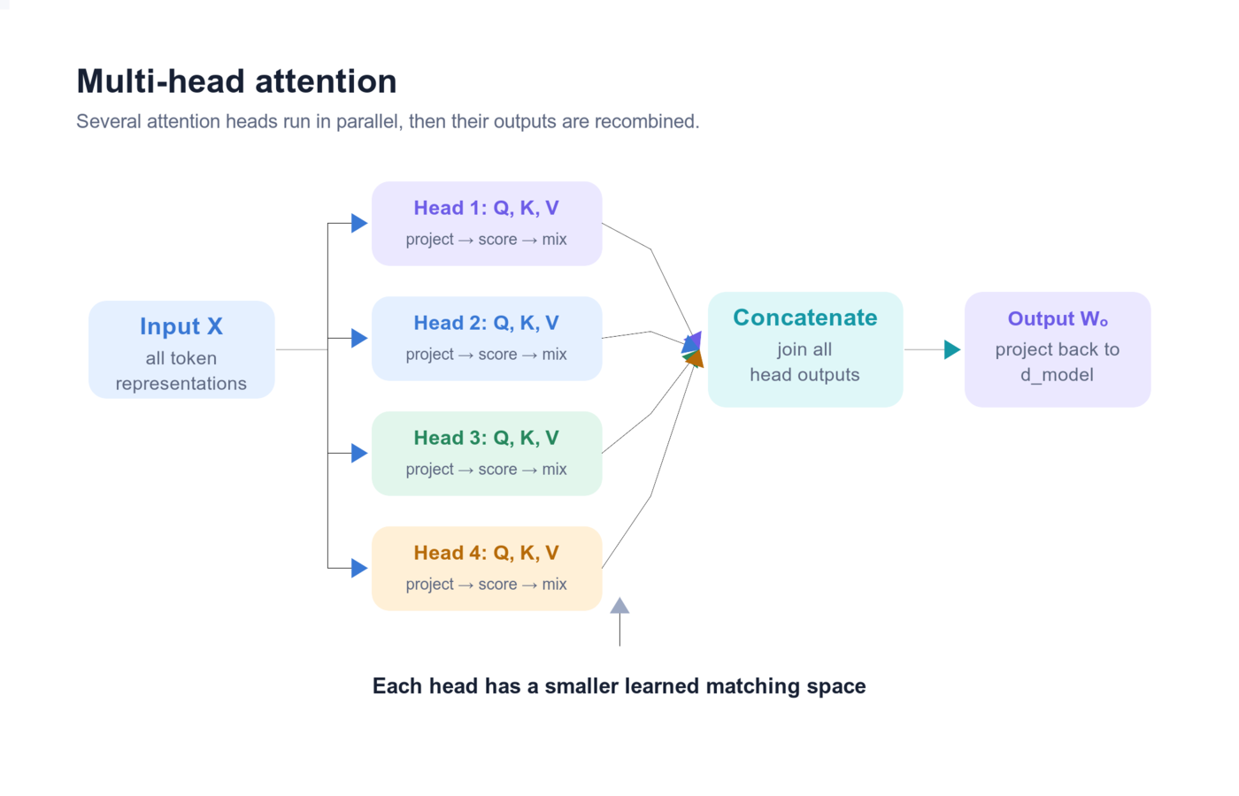 Multi-head attention pipeline: shared input is projected into Q, K, and V for several heads; each head attends independently; outputs are concatenated and projected.