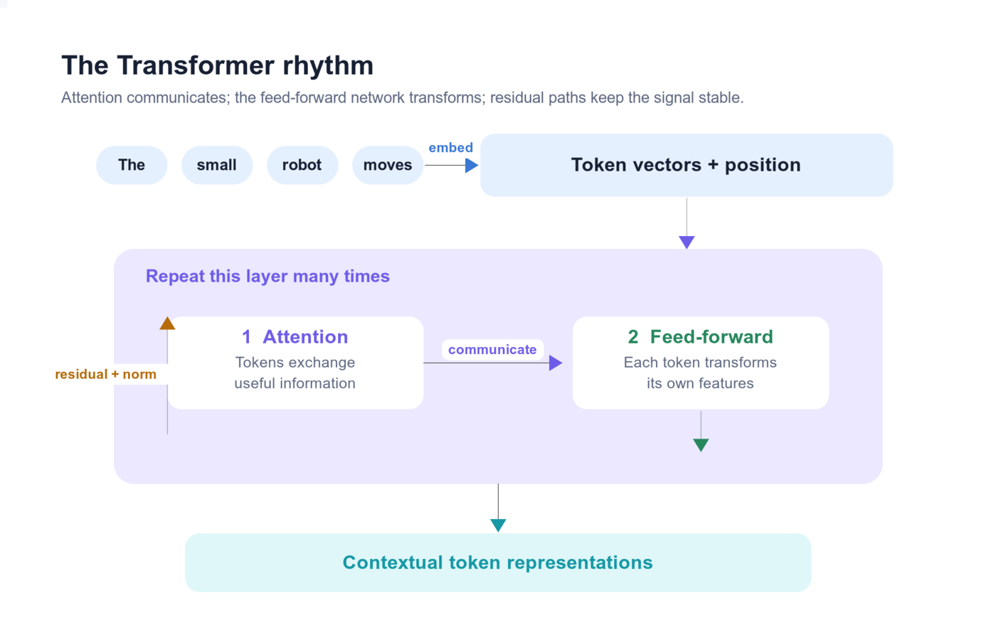 Transformer at a glance: tokens become vectors, exchange information through attention, pass through per-token feed-forward networks, and produce contextual representations.